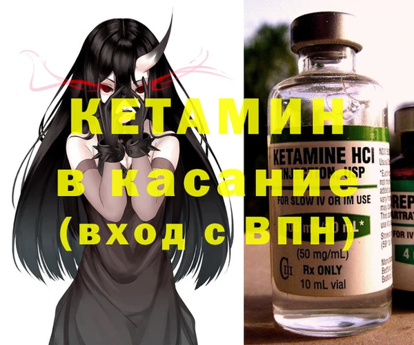 прущие грибы Бородино