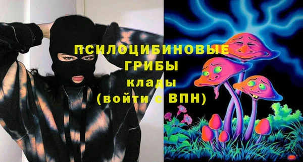 прущие грибы Бородино