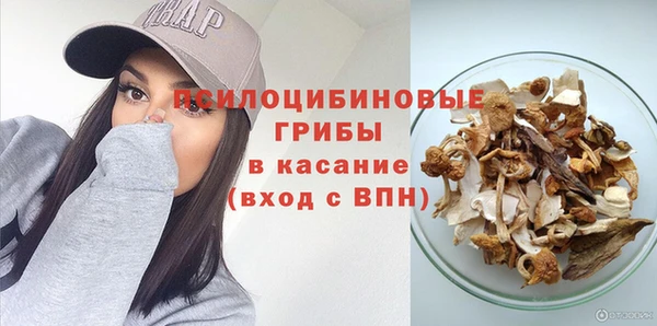 прущие грибы Бородино