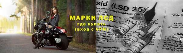 прущие грибы Бородино