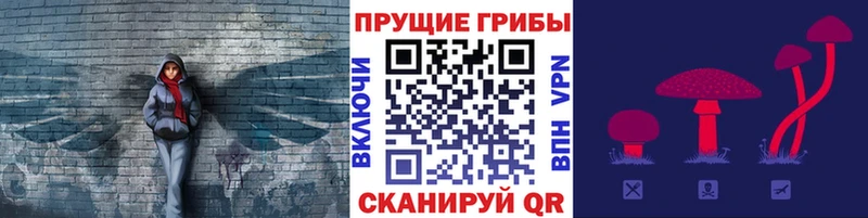 Галлюциногенные грибы MAGIC MUSHROOMS где продают наркотики Новый Оскол